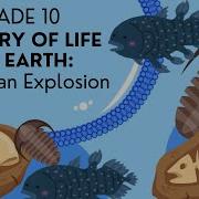 INTRO To The Cambrian Explosion EASY To Understand