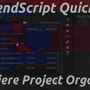 Adobe Premiere Scripting QuickTip Project Organiser Script