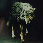 Wolf In Sheep S Clothing REBORN