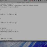 RSpec Matchers
