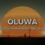 DALEXO Palm Monkey Feel On Eel OLUWA