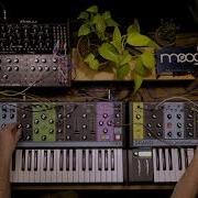 Moog Semi Modular Synthesizers Interconnectivity II