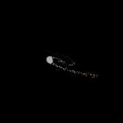 Spiral Animation
