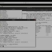 TCP IP Attack Lab