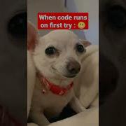 When Code Runs On First Try Shorts Memes Programmingmemes Codingmemes Coding Statuswhatsapp