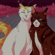 Stay With Someone Like You Warriors OC PMV Part 2