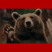 Split Image On Hover HTML CSS