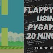 Learn Pygame By Creating Flappy Bird In 20 MINUTES