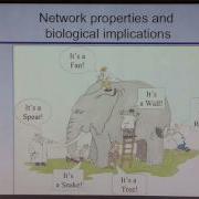 Introduction To Biological Network Analysis I Network Basics And Properties