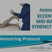 12 Assessment Eccentric Mid Range Strength Test