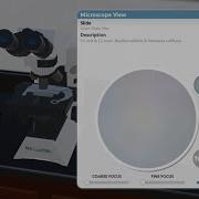 How To Use Virtual Microscope