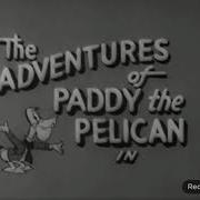 The Adventures Of Paddy The Pelican All Openings And Closings