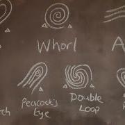 Assessing The Fingerprints