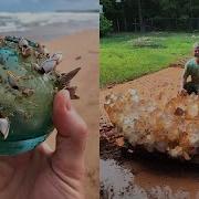 15 Lucky People Who Found The Rarest Things And Became Millionaires Overnight