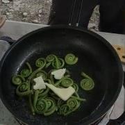 EatWild Fiddleheads How To Pick And Cook Fiddleheads With Chef Whittaker