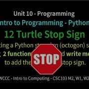 12 Turtle Stop Sign Python