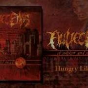 ALL LIFE ENDS Hungry Like War