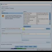 SPSSisFun Exporting SPSS Graphs Into Word