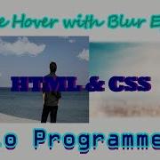 Image Hover With Blur Effect Using HTML CSS Only Qrio ProgrammerS