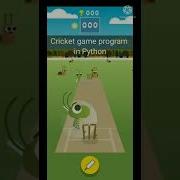 Cricket Game Program In Python Python Cricket Game Python
