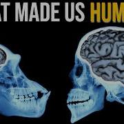 The Evolution Of Intelligence 5 Key Breakthroughs