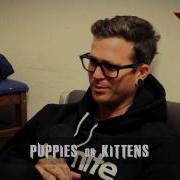 25 Questions With The Amity Affliction