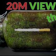 CIGARETTE IN SOIL 1 YEAR Time Lapse 8K