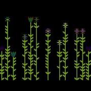 Meadow Atari XL XE Intro 256B Silly Venture 2022 WE