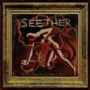 Seether Dead Seeds