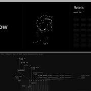 Boids Swarms