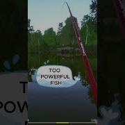 Fishing Rod Is Broken Again Russian Fishing 4