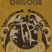 Orgone The Cleaner