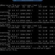 Viewing And Managing Processes On Ubuntu Server