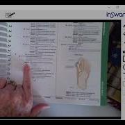 Auditing 8 1