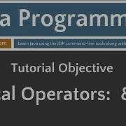 Learn Java Programming Logical Operators