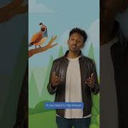 Fix Crashes And Bugs With AI In Android Studio