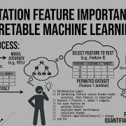 Permutation Feature Importance