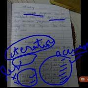 10 Recursion Tail Recursion Non Tail Recursion Non Determinancy