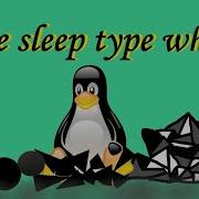 Time Sleep Type Which Linux