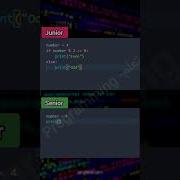 Junior Vs Senior Frontend Developer HTML CSS JavaScript Coding