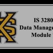 IS 3280 Data Management Module 7
