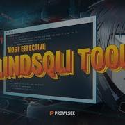 Blind SQL Injection Bug Bounty Tool My Custom Solution