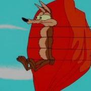 Wile E Stretch Pressure Wild Take