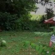 50 Cal Desert Eagle Vs Watermelon