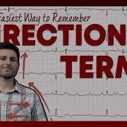 The Easiest Way To Learn Directional Terms Anatomy Basics Corporis