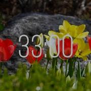 33 Minute Timer With Music Spring Timer