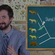 How To Read Phylogenetic Trees Cladograms Very Clear Explanation