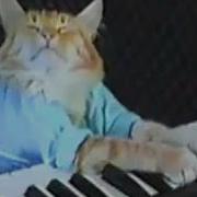 Keyboard Cat THE ORIGINAL