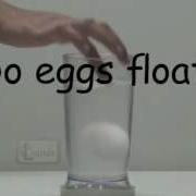 Eggs Floating In Salt Water Science Experiment For School Kids