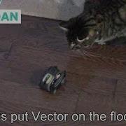 Anki Vector Let S Put Vector On The Floor